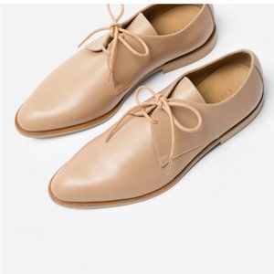 Everlane Modern Oxford Blush